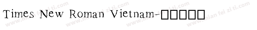 Times New Roman Vietnam字体转换